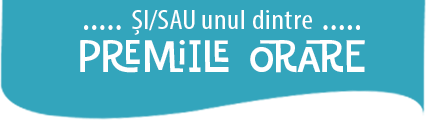 Premii orare